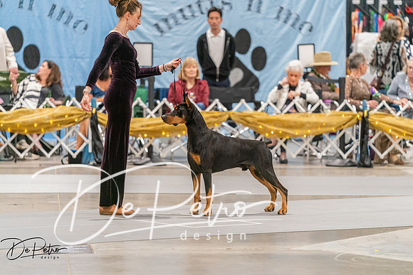 20260928-DSC06218