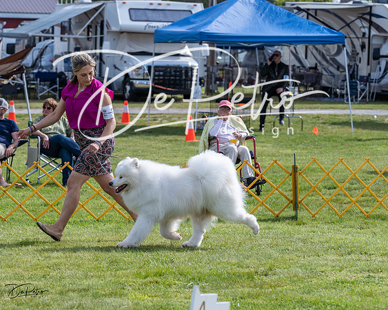 20230513-DSC00830