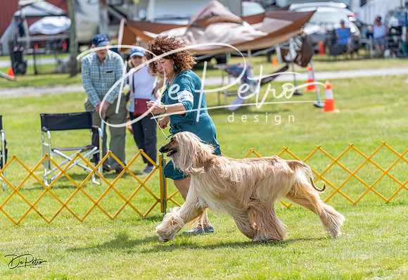 20230513-DSC09448
