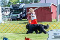 20230512-DSC05328