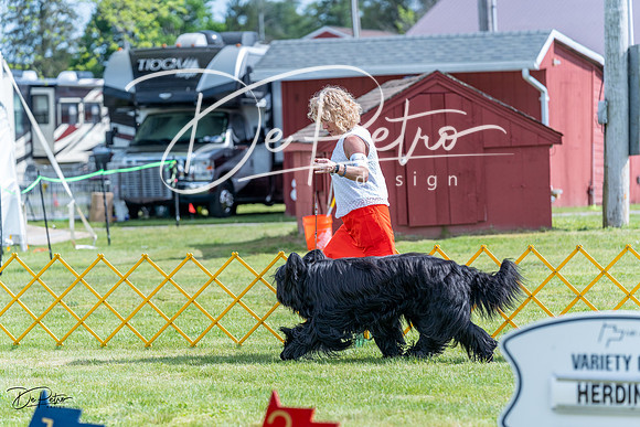 20230512-DSC05328