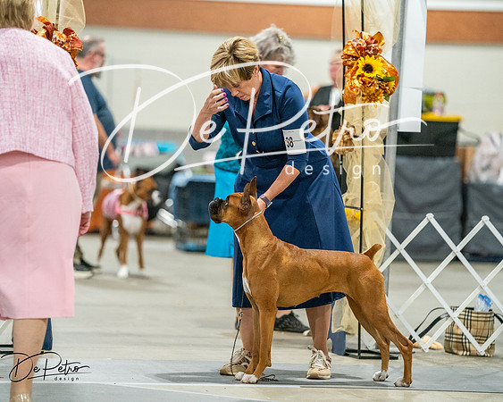 20261022-DSC03221
