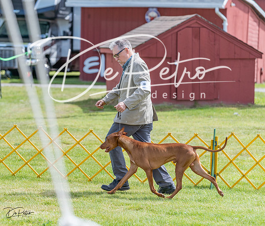 20230513-DSC09582