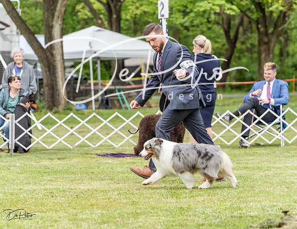 20230427-DSC07336