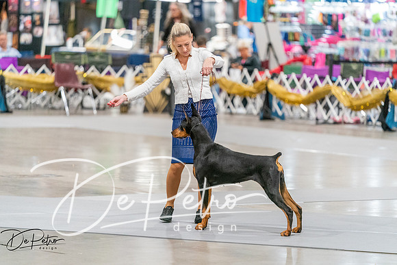20260930-DSC07126