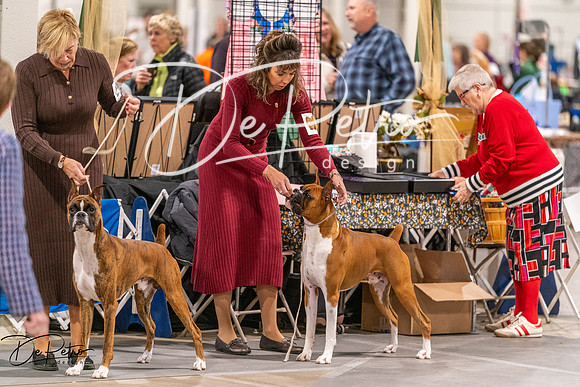 20261024-DSC08413