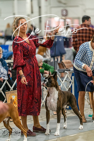 20261023-DSC05510
