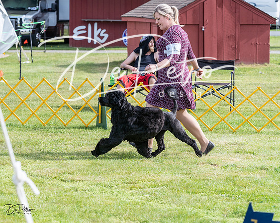 20230513-DSC01032
