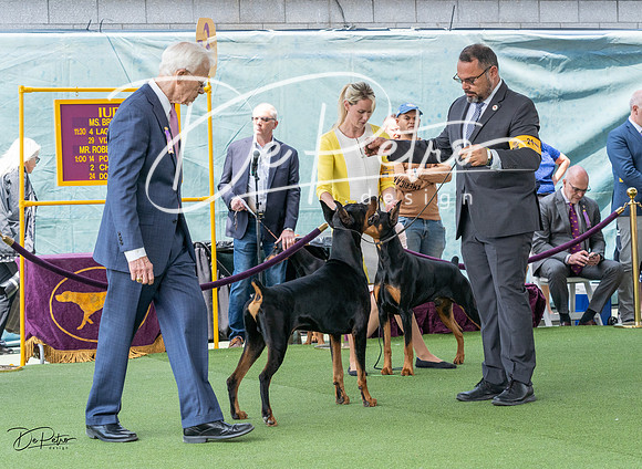 20230509-DSC01111