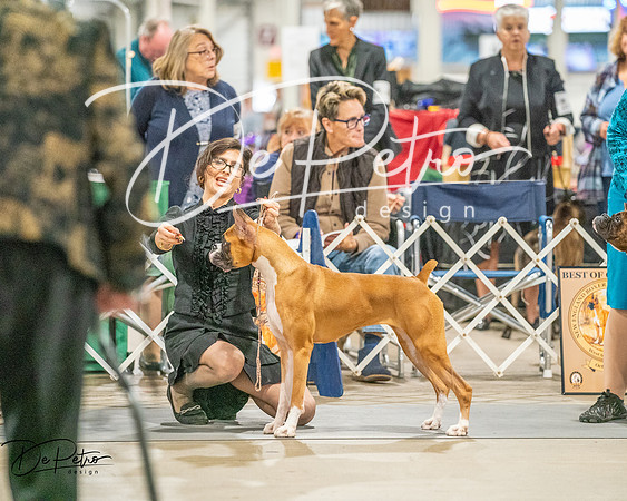 20261022-DSC01878