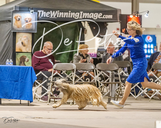 20230401-DSC07996