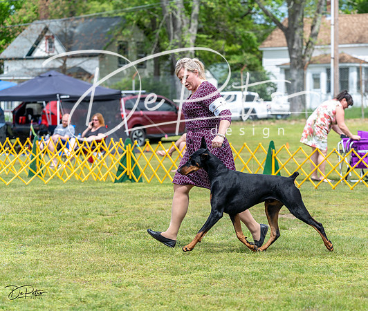 20230513-DSC08146