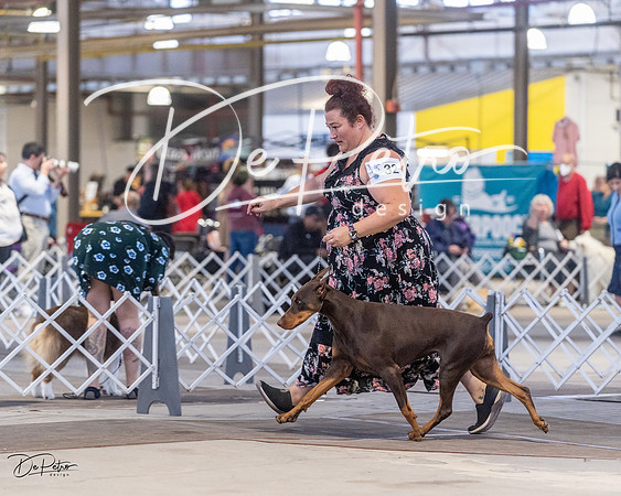 20230401-DSC06398