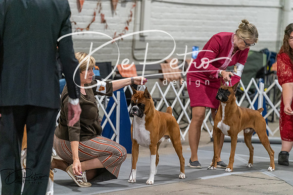 20261023-DSC05762
