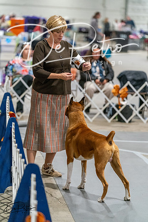 20261023-DSC05696