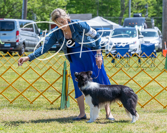 20230514-DSC04724