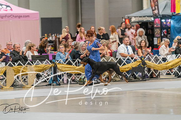 20260928-DSC06332
