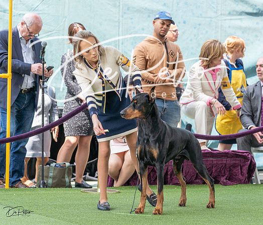 20230509-DSC01247