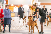 20261024-DSC08342
