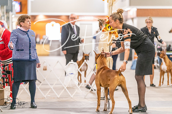 20261024-DSC08342