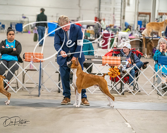 20261022-DSC02096