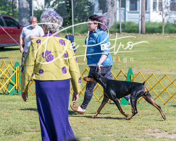 20230514-DSC03459