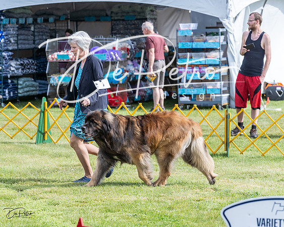 20230513-DSC00633