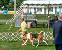 20240913-DSC00018