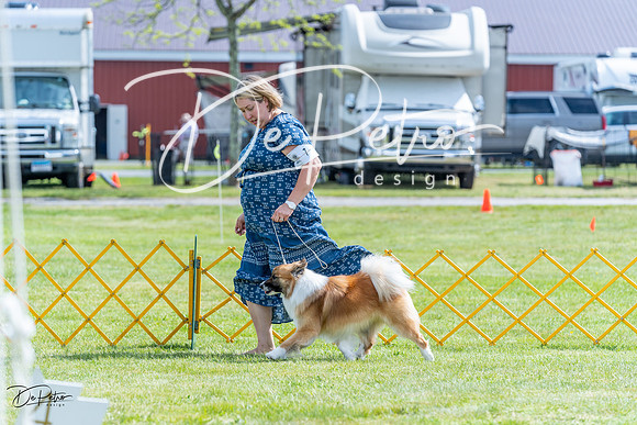 20230512-DSC05476
