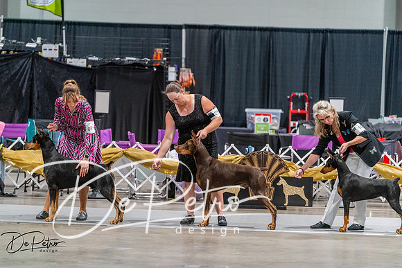 20260926-DSC04886