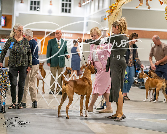 20261022-DSC02806