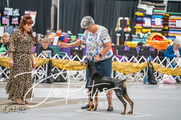 20260926-DSC04588