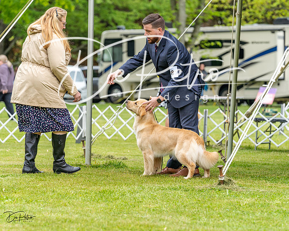 20230427-DSC03508