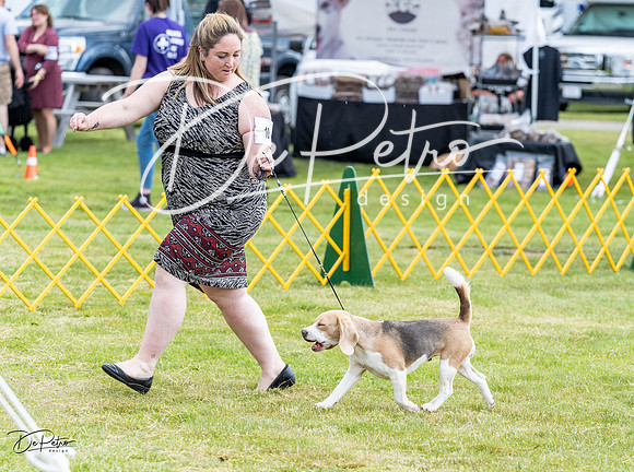 20230512-DSC03823