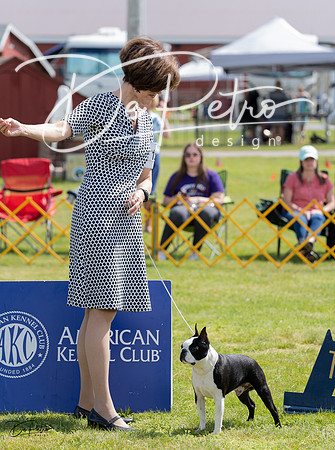 20230512-DSC03981