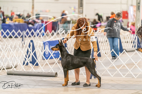 20261024-DSC00770