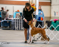 20261022-DSC02656
