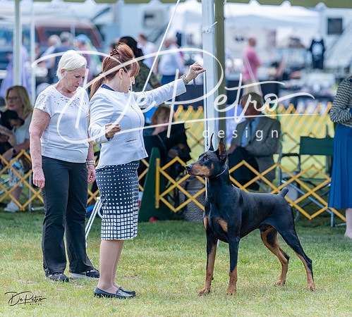 20230513-DSC08850