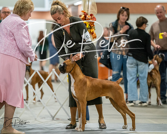 20261022-DSC02785