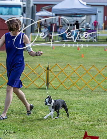 20230513-DSC00416