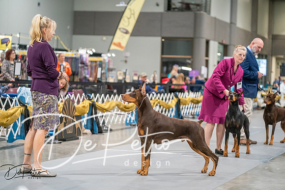 20260926-DSC04476