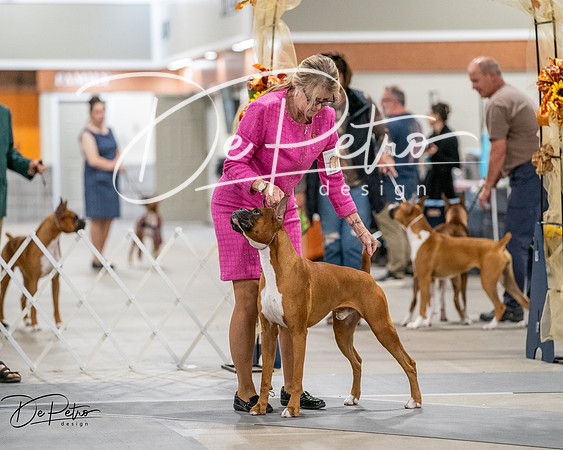 20261022-DSC02819