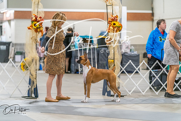 20261022-DSC00130