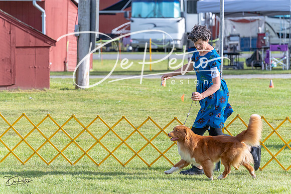 20230513-DSC02017