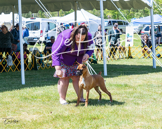 20230514-DSC04002