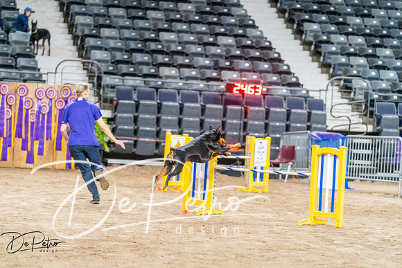 20260929-DSC06416