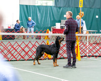 20261017-DSC08455