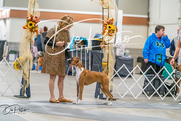 20261022-DSC00128