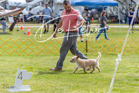 20230513-DSC09695