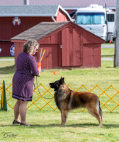 20230513-DSC01240